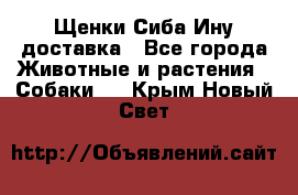 Щенки Сиба Ину доставка - Все города Животные и растения » Собаки   . Крым,Новый Свет